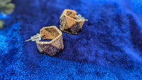 Gold Filled Open Stud Earrings