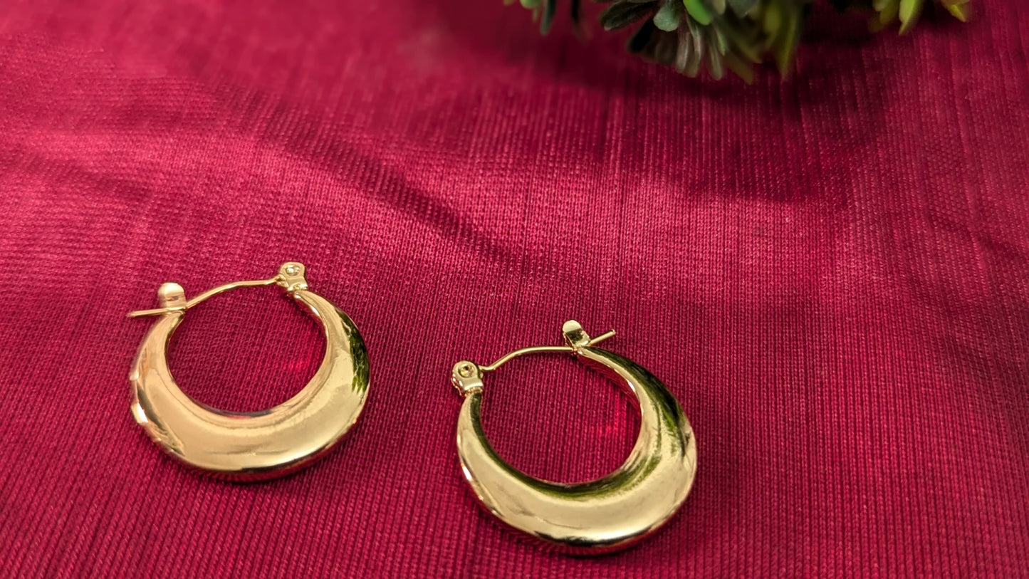 Gold Plated Full Moon Stainless Steel Hoop Earrings