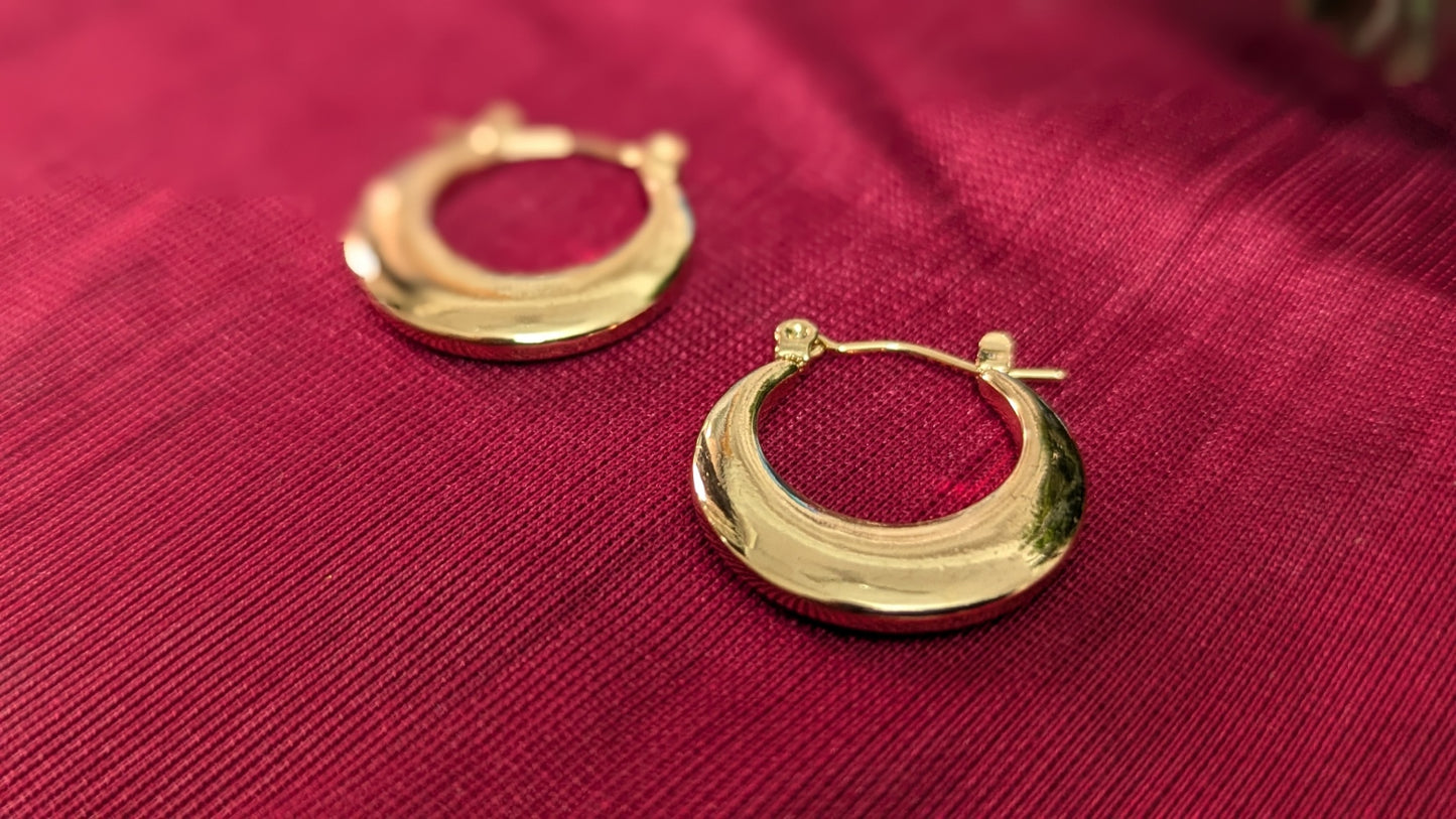 Gold Plated Full Moon Stainless Steel Hoop Earrings